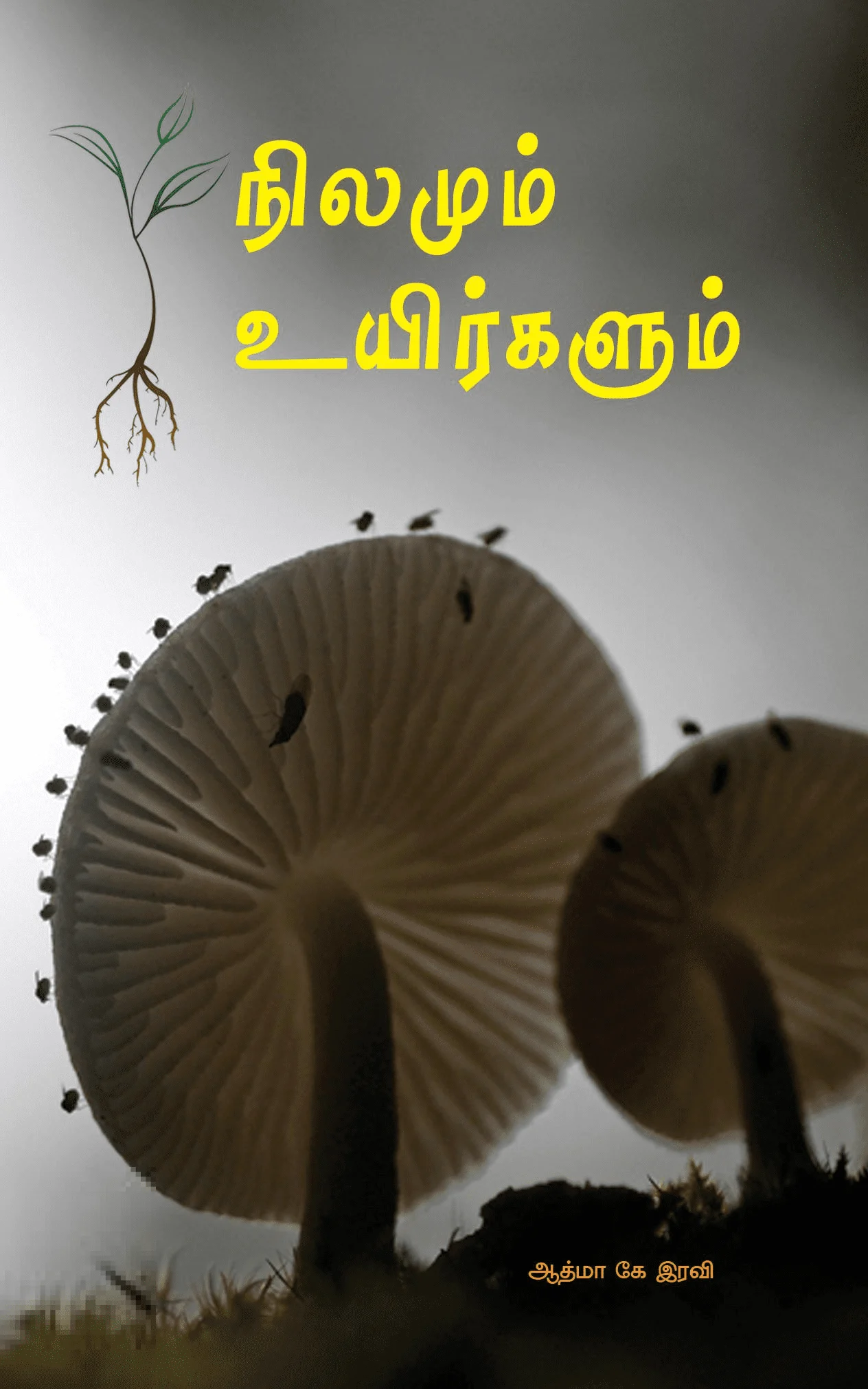 நிலமும் உயிர்களும்