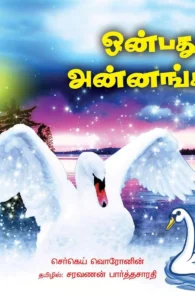 ஒன்பது அன்னங்கள்