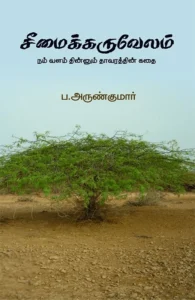 சீமைக்கருவேலம்