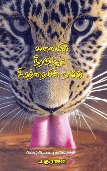 சுனையில் நீரருந்தும் சிறுத்தையின் நாக்கு