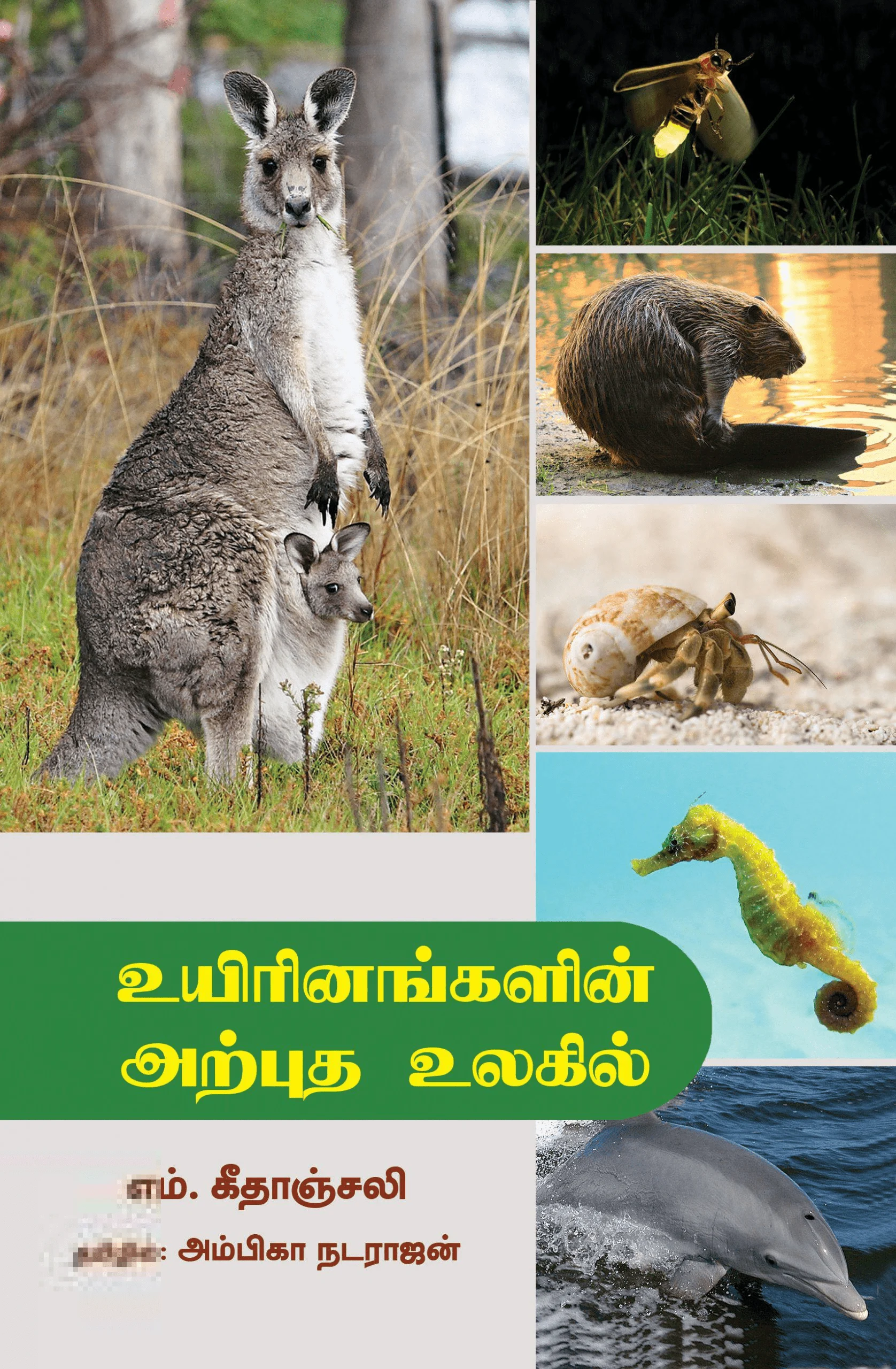 உயிரினங்களின் அற்புத உலகில்