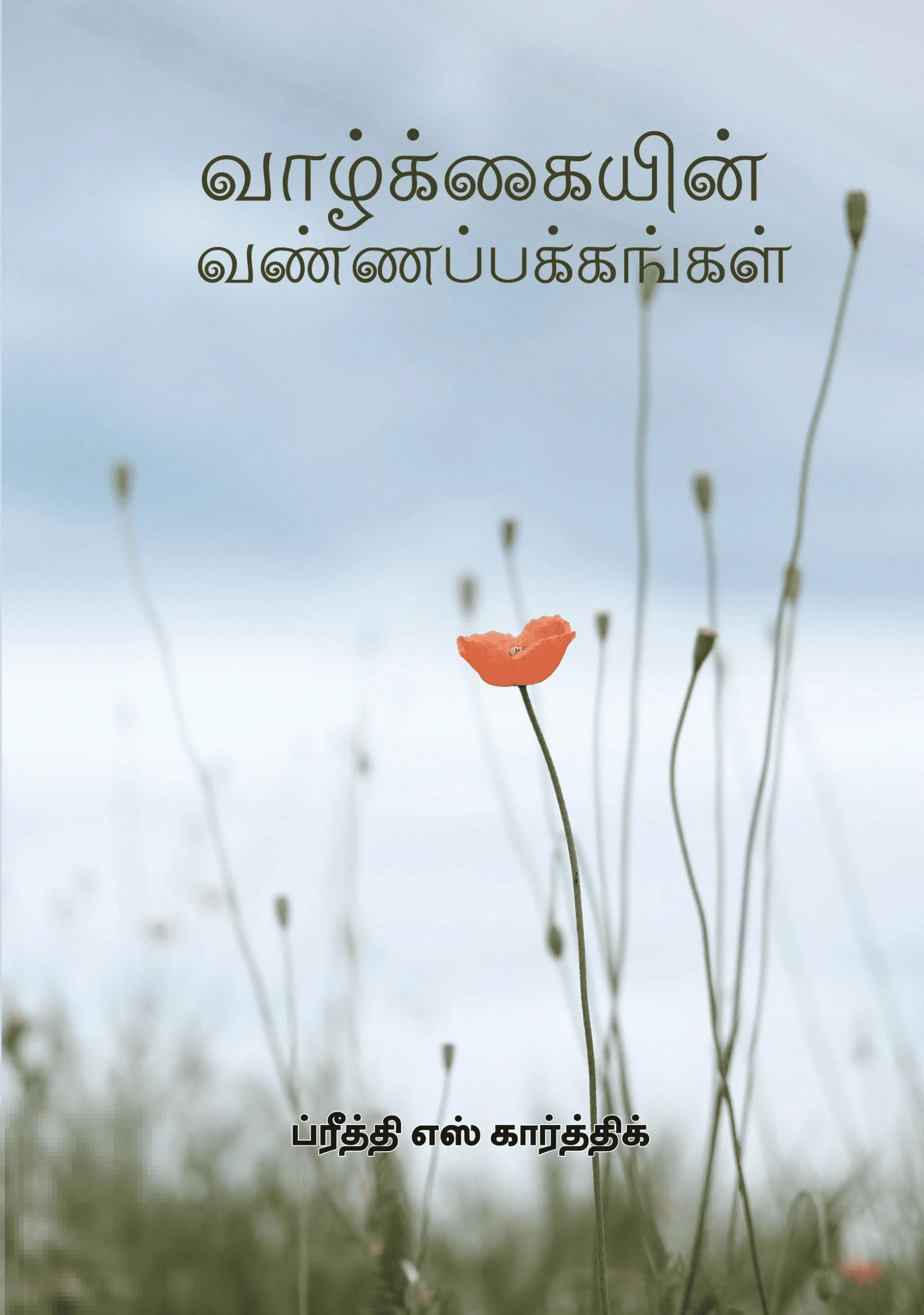 வாழ்க்கையின் வண்ணப் பக்கங்கள்