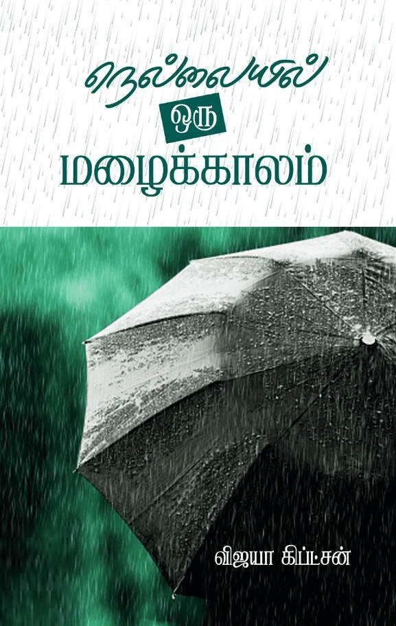 நெல்லையில் ஒரு மழைக்காலம்