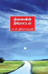 நினைவின் நீரோட்டம்