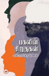 பகலின் சிறகுகள்