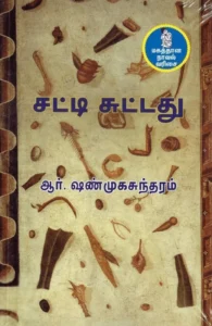 சட்டிசுட்டது