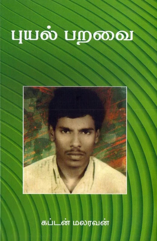 புயல் பறவை