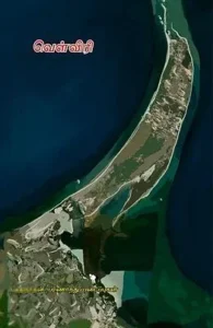 வெள்விரி