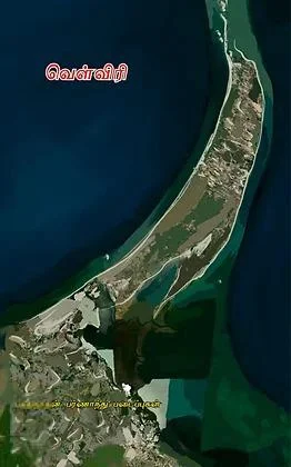 வெள்விரி