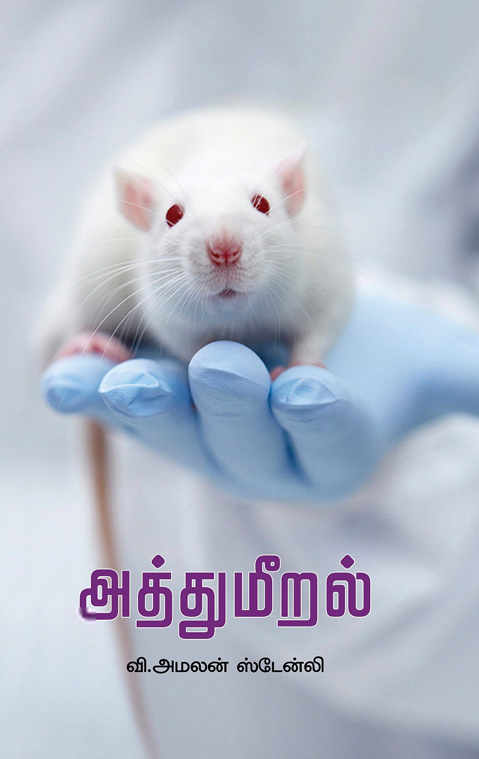 வி. அமலன் ஸ்டேன்லி எழுதிய அத்துமீறல் (பாரதி புத்தகாலயம்) - Book Cover