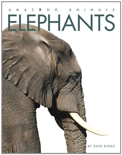 Kate Riggs எழுதிய Elephants: Amazing Animals Series - Book Cover