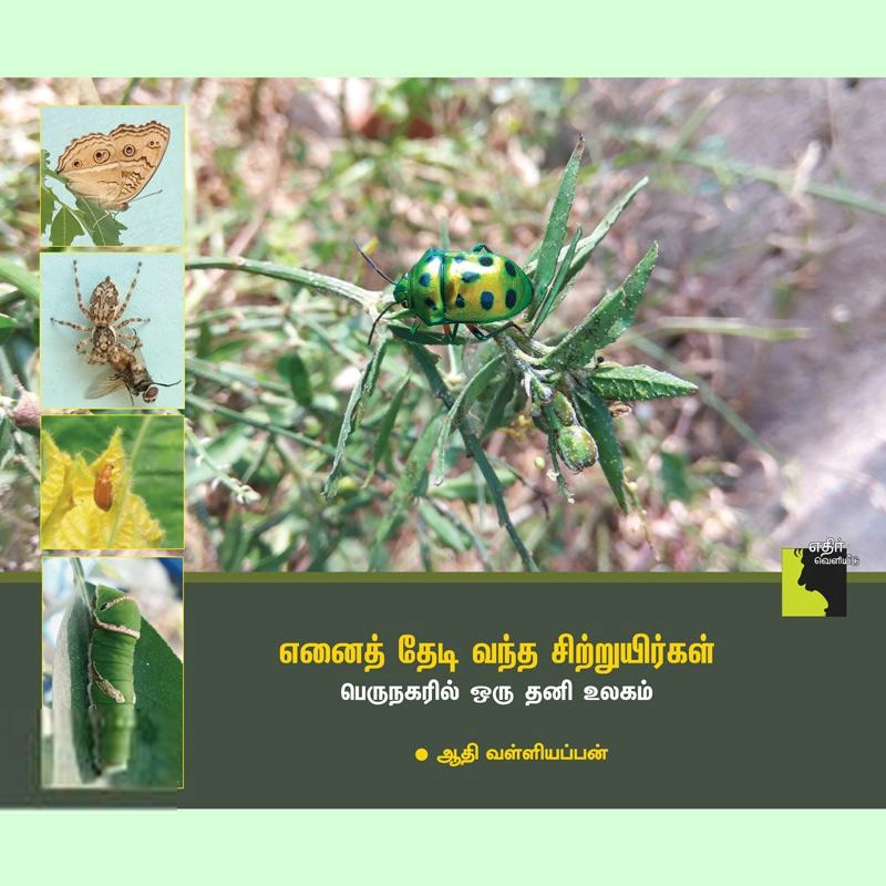 ஆதி வள்ளியப்பன் எழுதிய எனைத் தேடி வந்த சிற்றுயிர்கள் - Book Cover