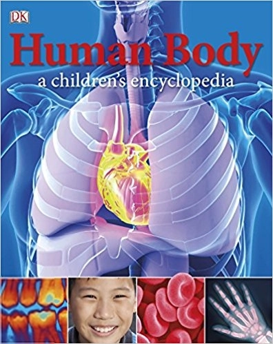 DK எழுதிய Human body a children's encyclopedia - Book Cover