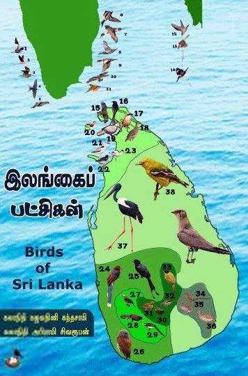 காக்கைக்கூடு எழுதிய இலங்கைப் பறவைகள் - Book Cover
