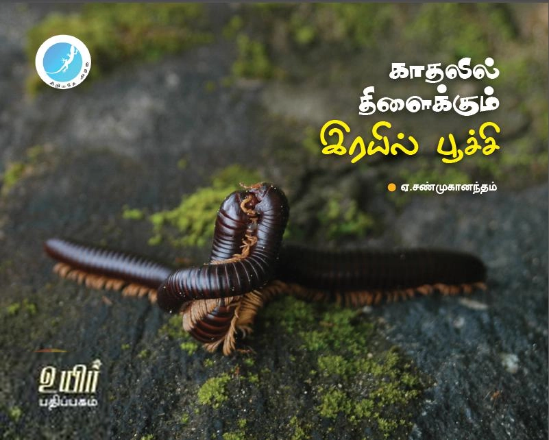 ஏ. சண்முகானந்தம் எழுதிய காதலில் திளைக்கும் இரயில் பூச்சி - Book Cover