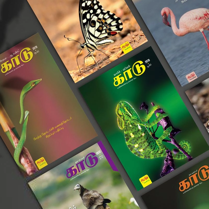 தடாகம் வெளியீடு எழுதிய காடு இதழ்கள் தொகுப்பு - Book Cover
