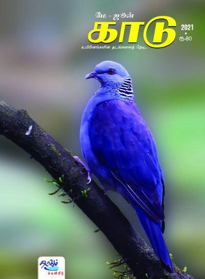தடாகம் வெளியீடு எழுதிய காடு (மே - ஜூன் 2021) - Book Cover