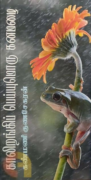 கண்மணி குணசேகரன் எழுதிய காலிறங்கிப் பெய்யுமொரு கனமழை - Book Cover