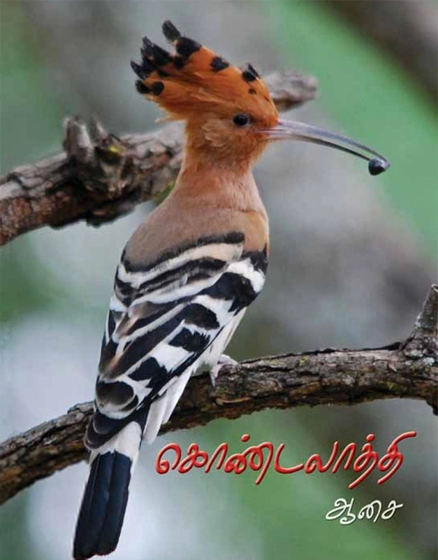 ஆசை எழுதிய கொண்டலாத்தி - Book Cover