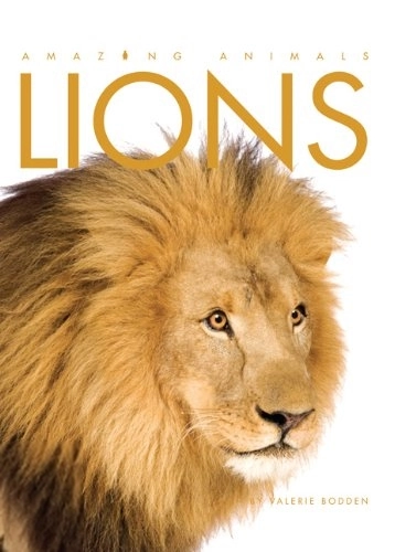 Valerie Bodden எழுதிய Lions: Amazing Animals Series - Book Cover