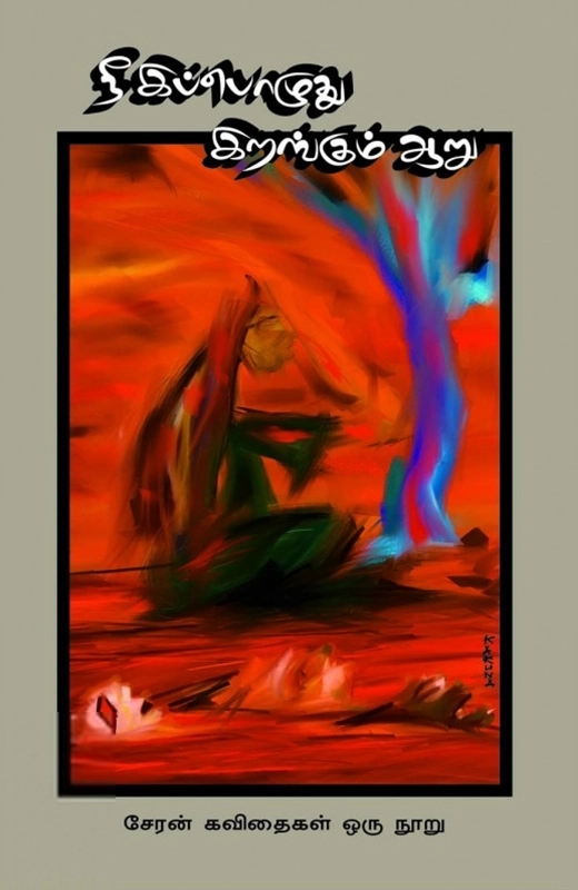 சேரன் எழுதிய நீ இப்பொழுது இறங்கும் ஆறு - Book Cover