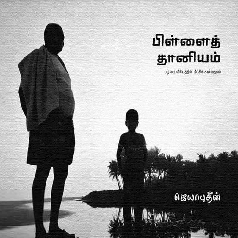 ஜெயாபுதீன் எழுதிய பிள்ளை தானியம் - Book Cover