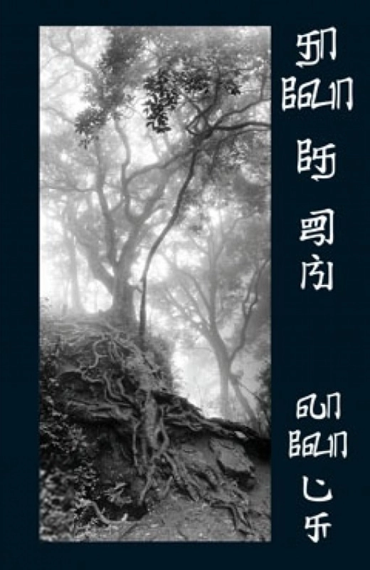 லாவோட்சு எழுதிய தாவோ தே ஜிங் - Book Cover