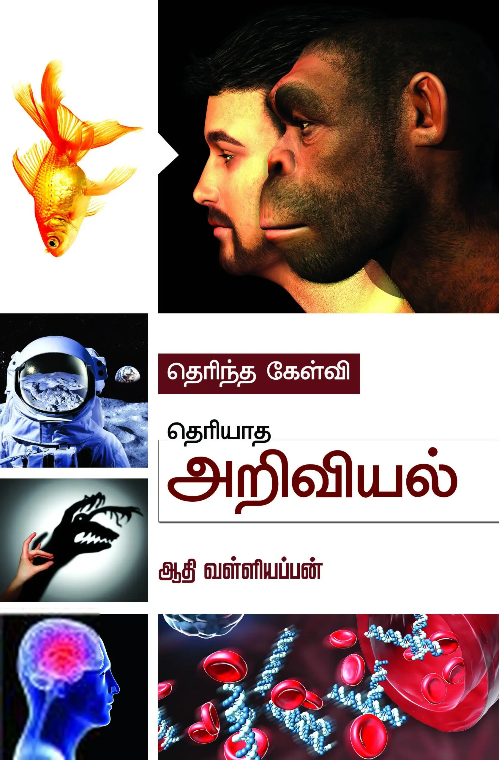பாரதி புத்தகாலயம் எழுதிய தெரிந்த கேள்வி தெரியாத அறிவியல் - Book Cover