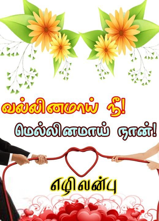 எழிலன்பு எழுதிய வல்லினமாய் நீ! மெல்லினமாய் நான்! - Book Cover