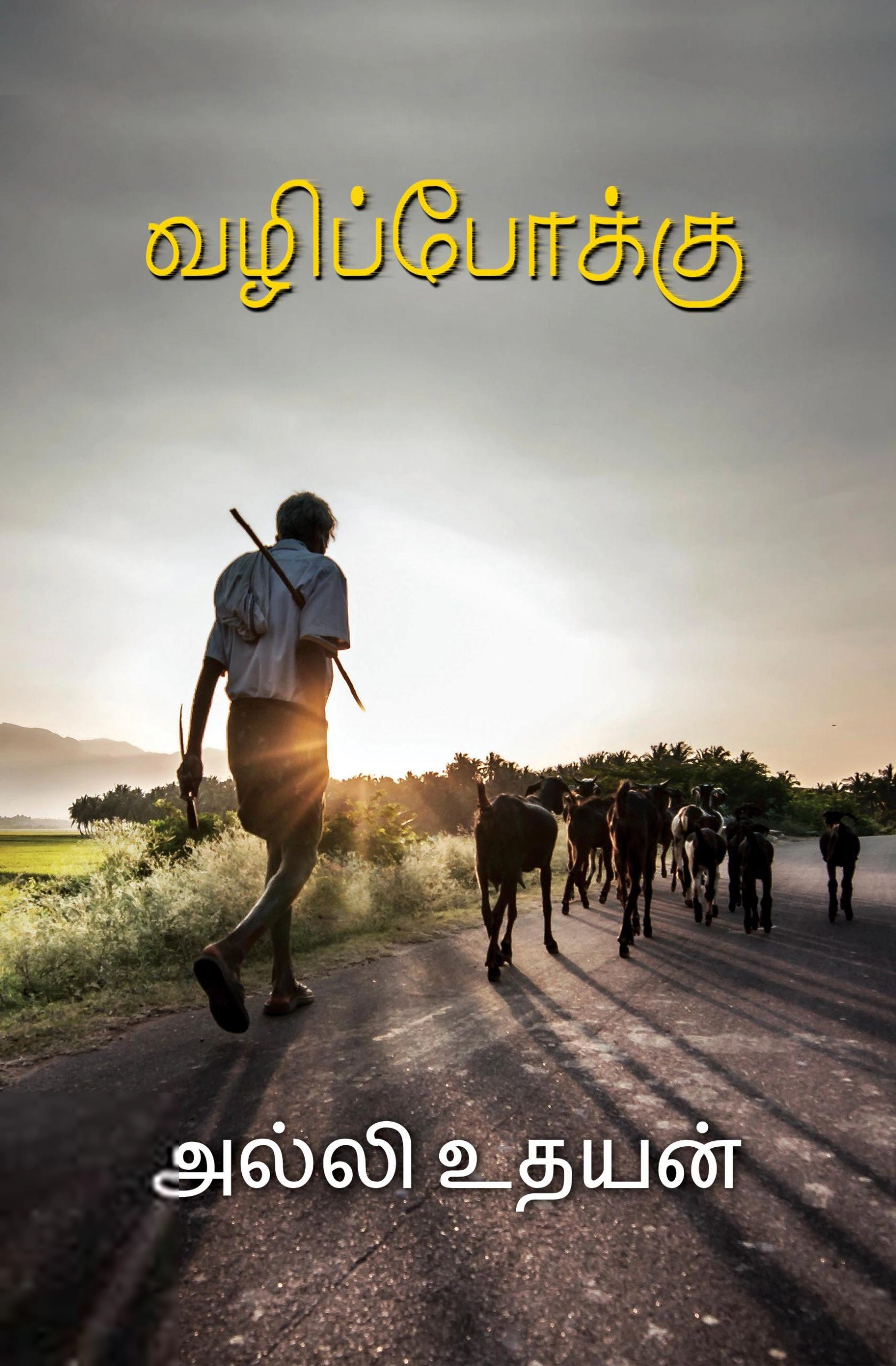 அல்லி உதயன் எழுதிய வழிப்போக்கு - Book Cover